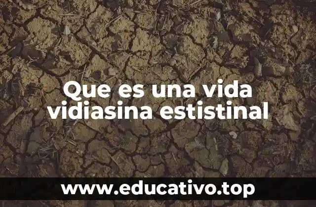 Que es una vida vidiasina estistinal