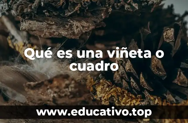 Qué es una viñeta o cuadro