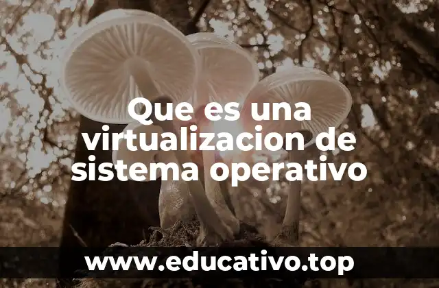 Que es una virtualizacion de sistema operativo