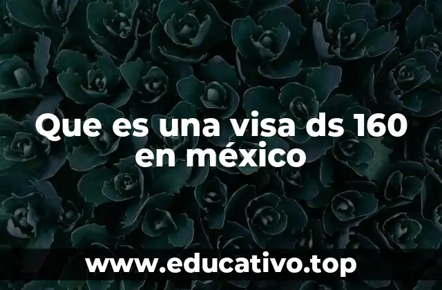 Que es una visa ds 160 en méxico