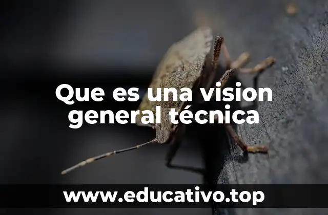 Que es una vision general técnica