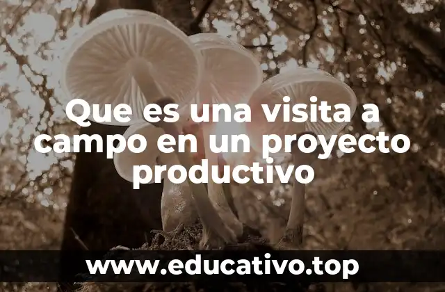 Que es una visita a campo en un proyecto productivo