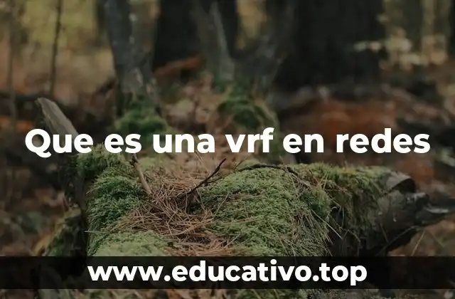 El papel de las VRF en la segmentación de redes