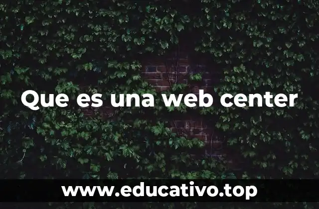 Que es una web center
