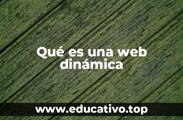 Qué es una web dinámica