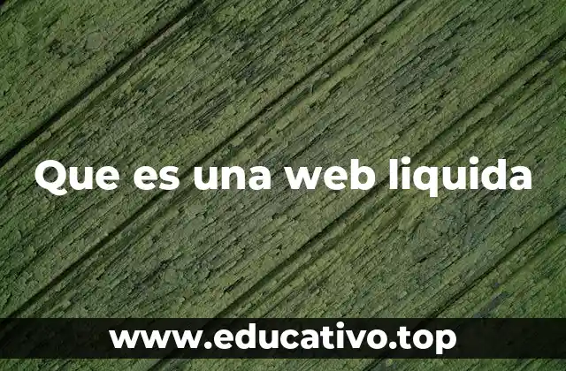 Que es una web liquida