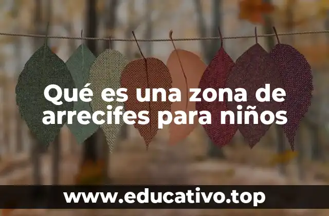 Qué es una zona de arrecifes para niños