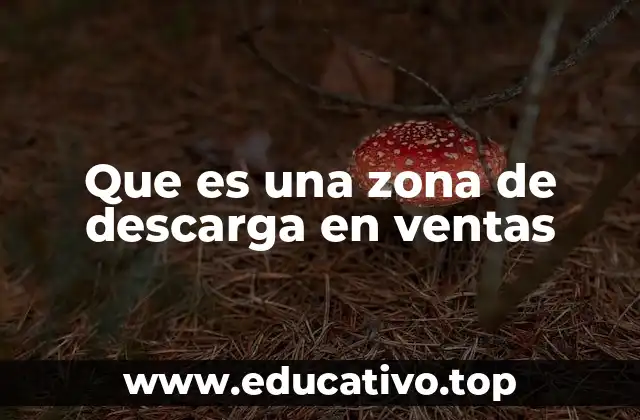 Que es una zona de descarga en ventas