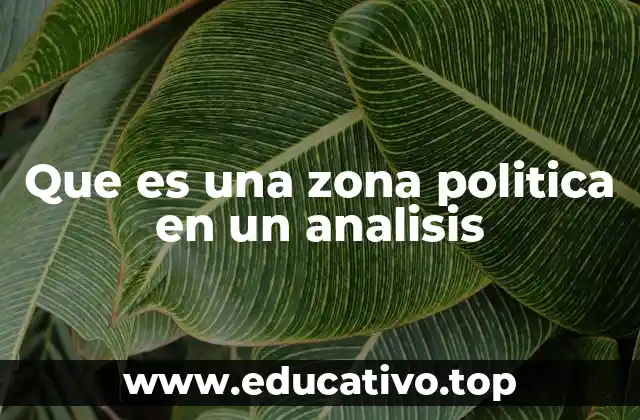 Que es una zona politica en un analisis