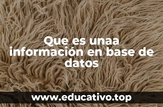 Que es unaa información en base de datos