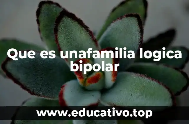 Que es unafamilia logica bipolar