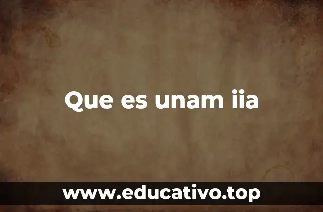 Que es unam iia