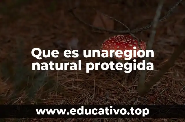 Que es unaregion natural protegida