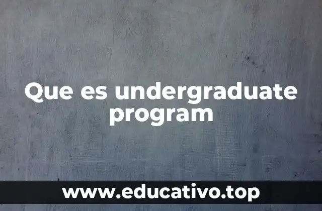 Que es undergraduate program