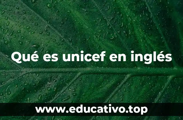 Qué es unicef en inglés
