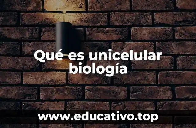 La vida en una sola célula