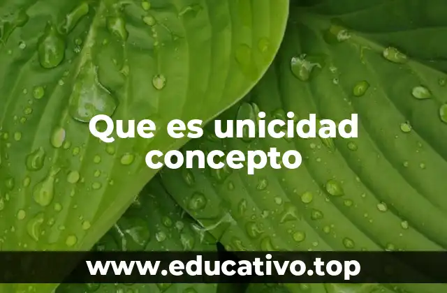 Que es unicidad concepto