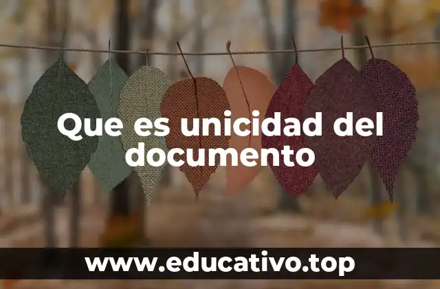Que es unicidad del documento