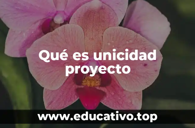 Qué es unicidad proyecto