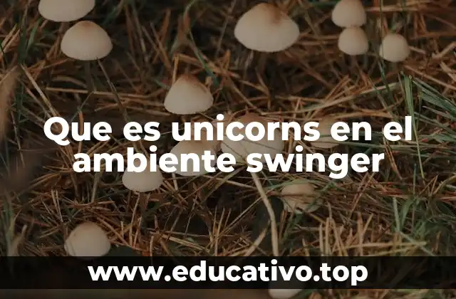 Que es unicorns en el ambiente swinger