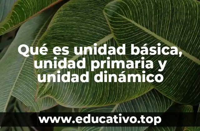 Qué es unidad básica, unidad primaria y unidad dinámico