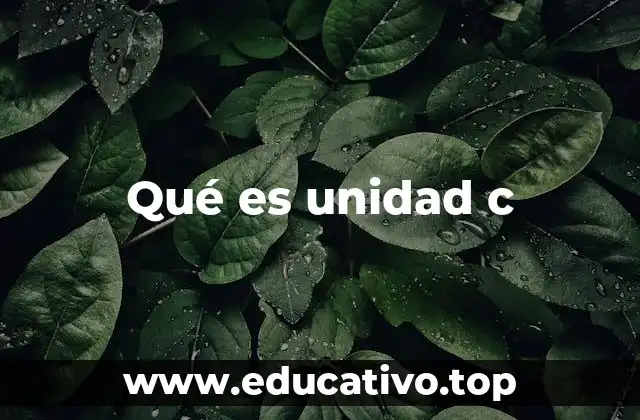 Qué es unidad c