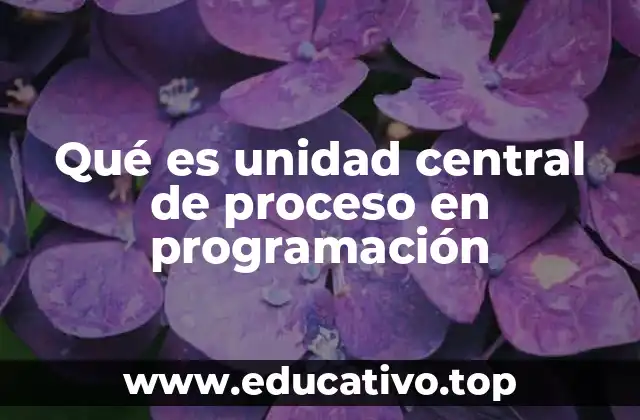 Qué es unidad central de proceso en programación