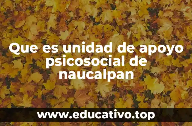 Que es unidad de apoyo psicosocial de naucalpan
