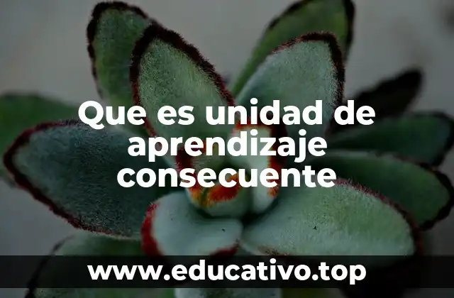 Que es unidad de aprendizaje consecuente