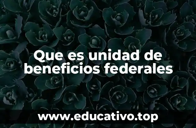 Que es unidad de beneficios federales