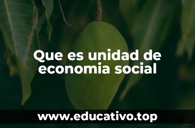 Que es unidad de economia social