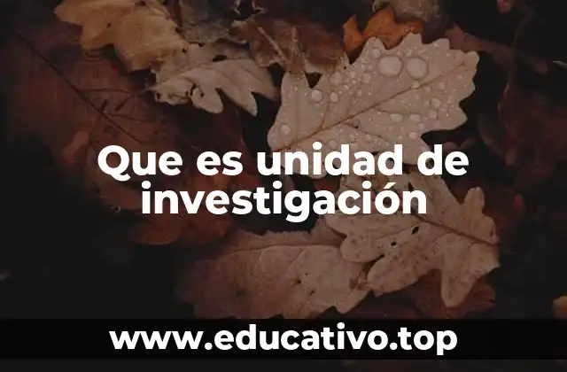 Que es unidad de investigación