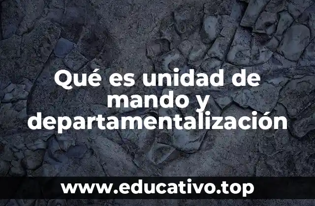 Qué es unidad de mando y departamentalización