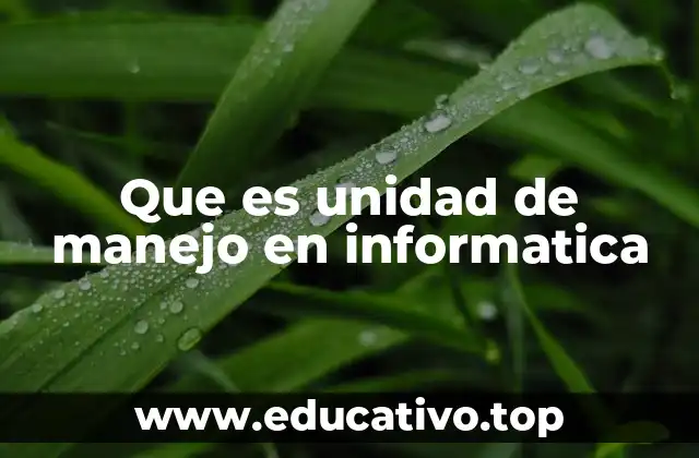 Que es unidad de manejo en informatica