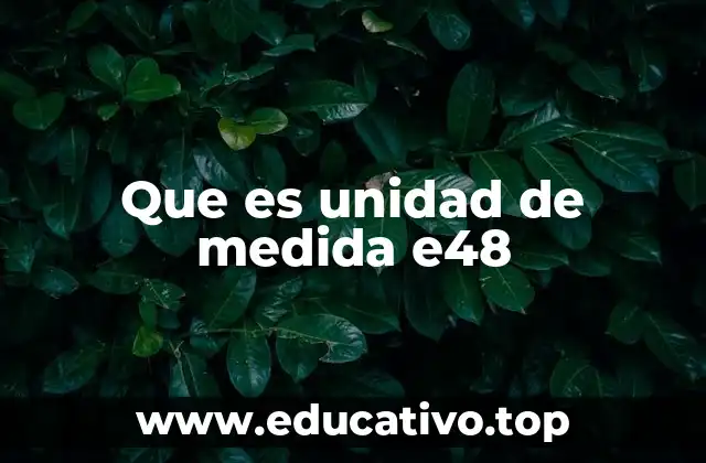 Que es unidad de medida e48