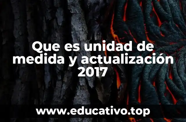 Que es unidad de medida y actualización 2017