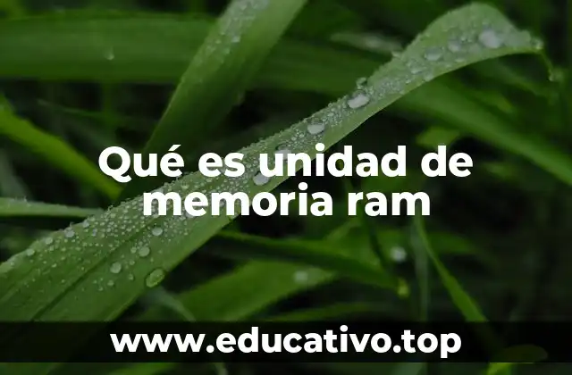 Qué es unidad de memoria ram