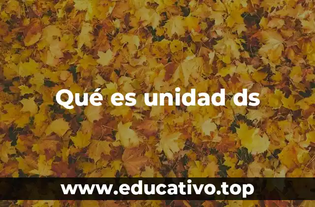 Qué es unidad ds