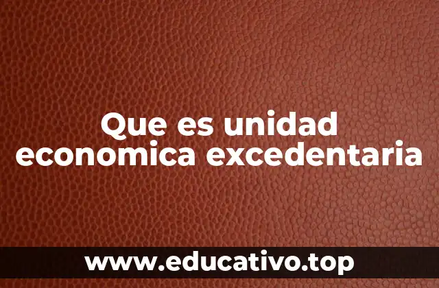 Que es unidad economica excedentaria