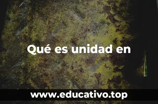 Qué es unidad en
