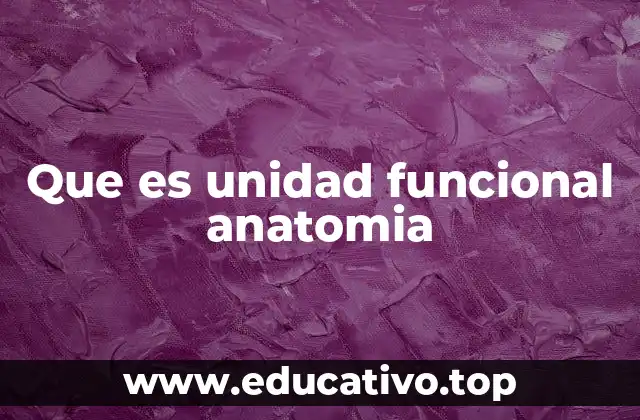 Que es unidad funcional anatomia