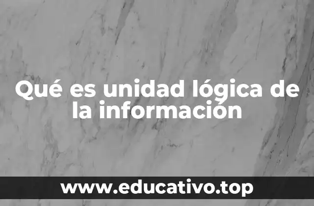 Qué es unidad lógica de la información