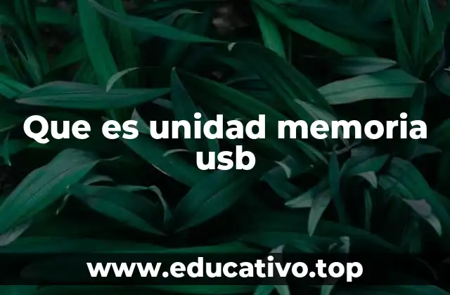 Que es unidad memoria usb