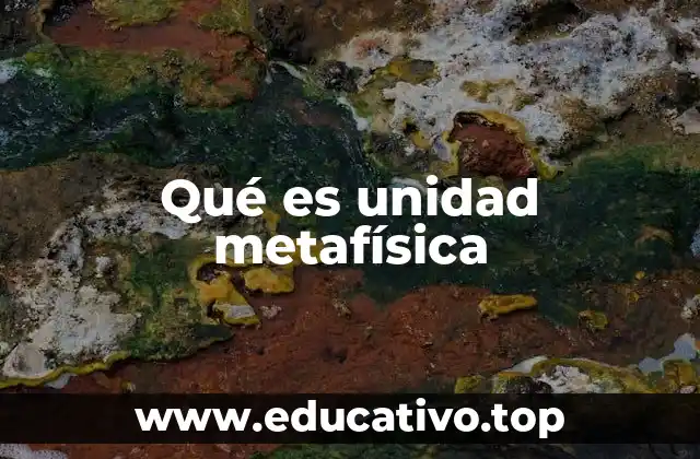 Qué es unidad metafísica