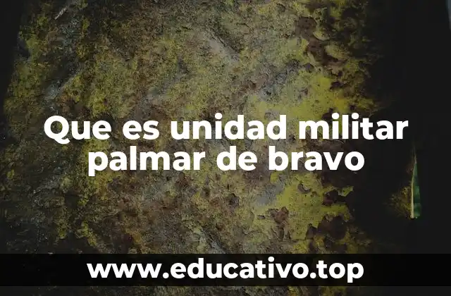 Que es unidad militar palmar de bravo