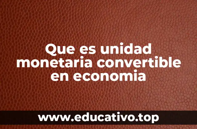 Que es unidad monetaria convertible en economia