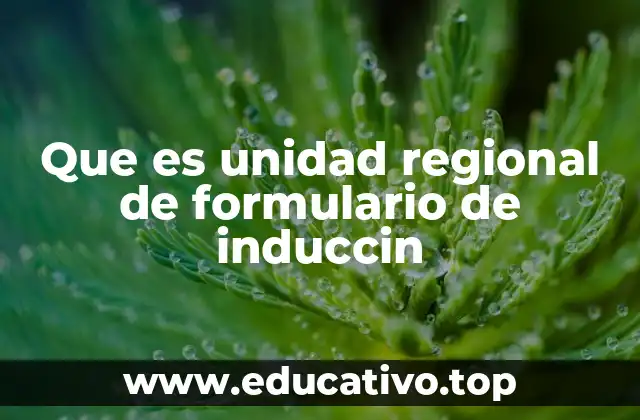 Que es unidad regional de formulario de induccin