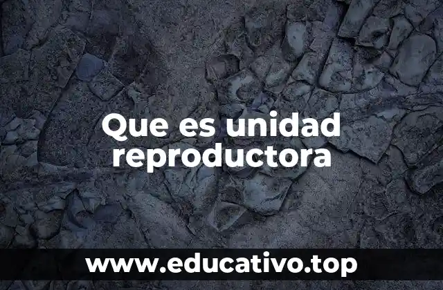 Que es unidad reproductora