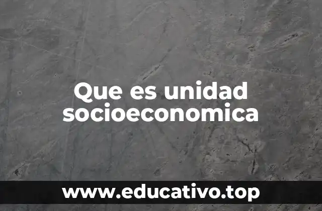 Que es unidad socioeconomica