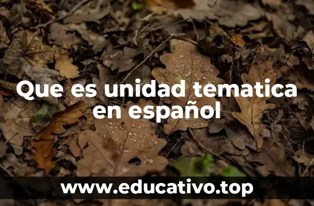 Que es unidad tematica en español